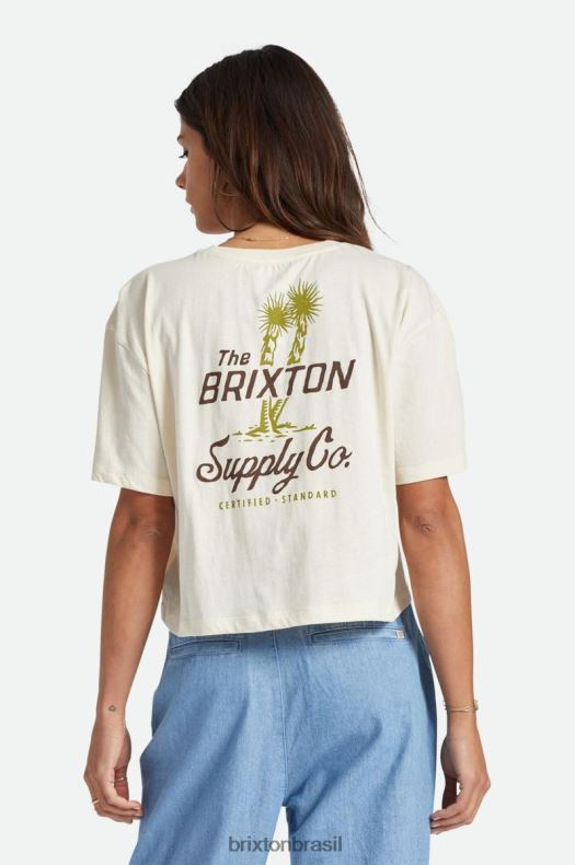 vestuário Brixton camiseta skimmer austin s/s boné branco mulheres 2TDHFZ440